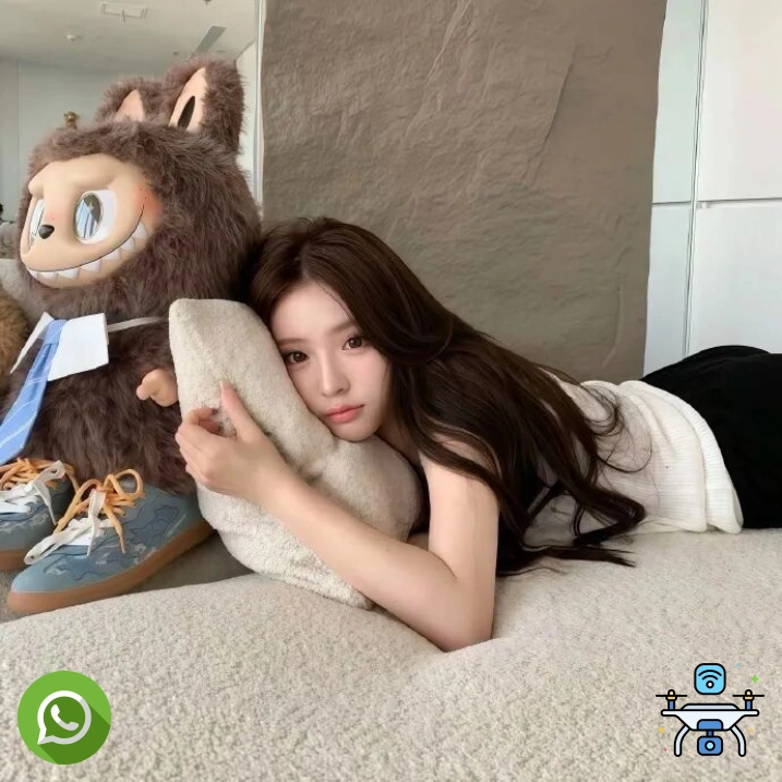杨明球迷